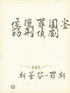 像猎罪图鉴一样的刑侦剧封面