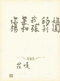 你是我的姐妹宋杨和张莉圆结局封面