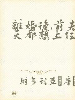 离婚后,前夫每天都想上位 完结版封面