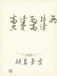 高清毛片无遮挡免费高清
