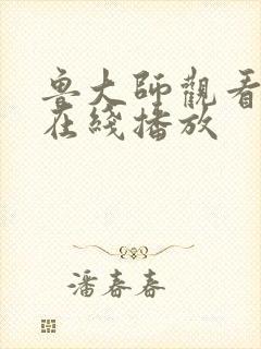 鲁大师观看高清在线播放