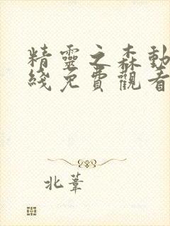 精灵之森动漫在线免费观看