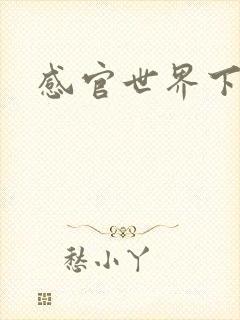 感官世界下载