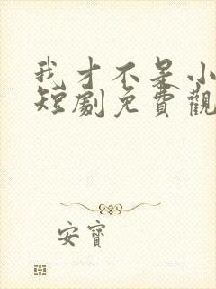 我才不是小可怜短剧免费观看全集