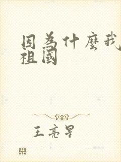 因为什么我更爱祖国