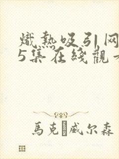 炽热吸引网剧25集在线观看