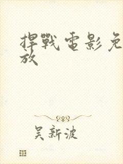 捍战电影免费播放封面