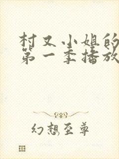 村又小姐的秘密第一季播放