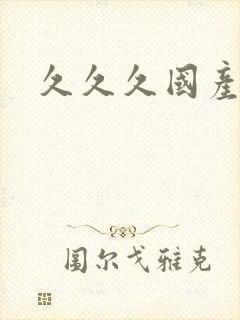 久久久国产二区