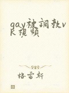 gay被调教vk视频封面