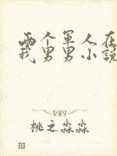 两个军人在车里我男男小说