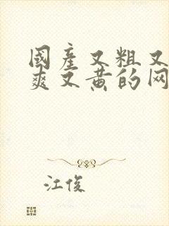 国产又粗又猛又爽又黄的网站