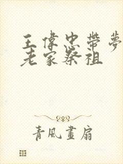 王伟忠带梦莹回老家祭祖封面