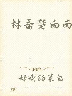 林乔楚向南小说封面