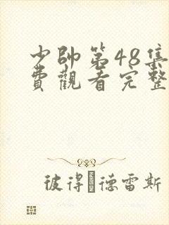 少帅第48集免费观看完整版封面