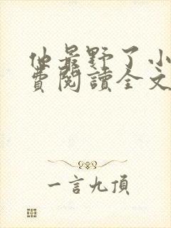 他最野了小说免费阅读全文