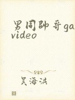 男同帅哥gayvideo封面