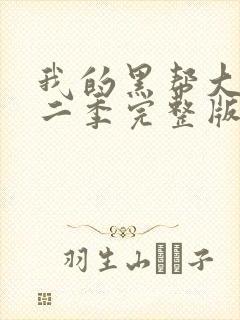 我的黑帮大佬第二季完整版在线播放