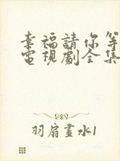 幸福请你等等我电视剧全集33集