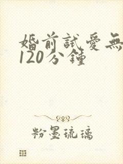 婚前试爱无删减120分钟