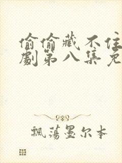 偷偷藏不住广播剧第八集免费听