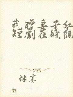 我赠妻子红缨枪短剧在线观看全集