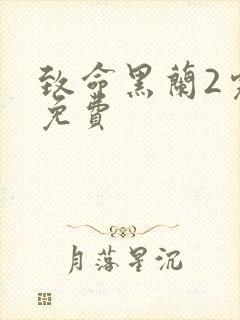 致命黑兰2完整免费