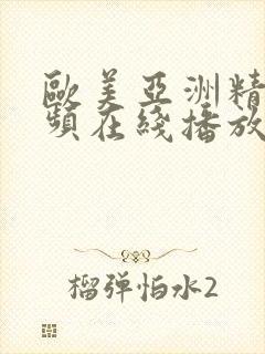 欧美亚洲精美视频在线播放