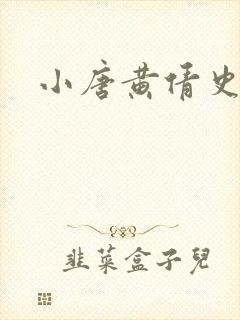 小唐黄倩史