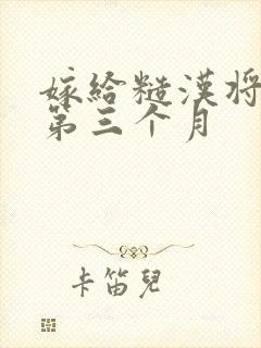 嫁给糙汉将军的第三个月封面