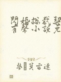 闪婚总裁契约妻有声小说免费听