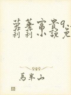 荣华富贵9小王莉莉小说免费阅读