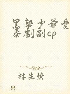 黑帮少爷爱上我泰剧副cp