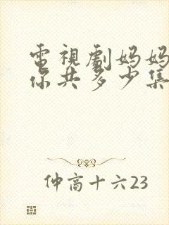 电视剧妈妈在等你共多少集封面