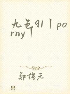 九色91丨porny丨封面