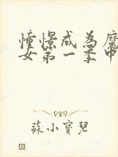 憧憬成为魔法少女第一季中文版