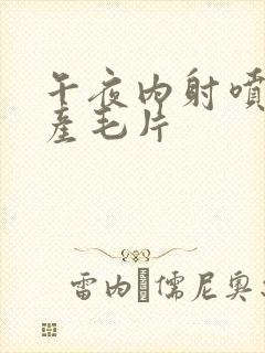 午夜内射喷水国产毛片