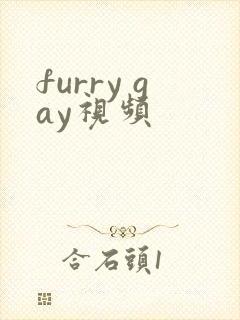 furry gay视频