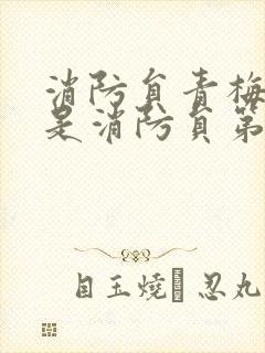 消防员青梅竹马是消防员第一季 未增删