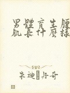 男体育生腹肌胸肌长什么样