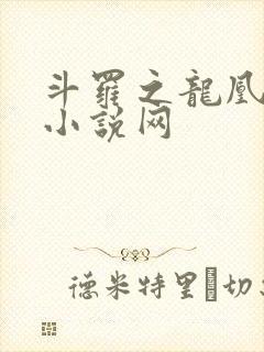 斗罗之龙凰传说小说网