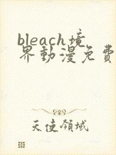 bleach境界动漫免费在线观看全集封面