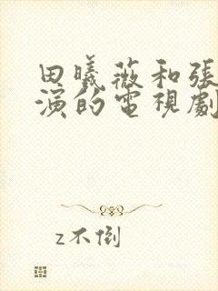 田曦薇和张凌赫演的电视剧