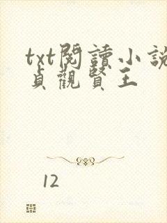 txt阅读小说贞观贤王