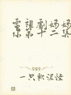 电视剧妈妈在等你第十二集