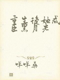 重生后她成了权臣黑月光