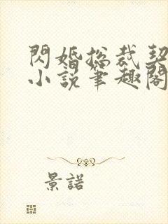 闪婚总裁契约妻小说笔趣阁