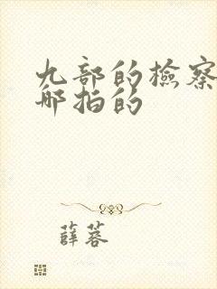 九部的检察官在哪拍的