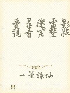 爱寻迷电影在线观看完整版