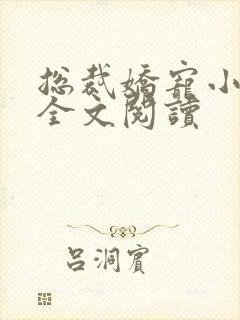 总裁娇宠小蛮妻全文阅读